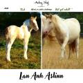 2021 lan anh aslinn