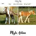 2022 mylo aslinn