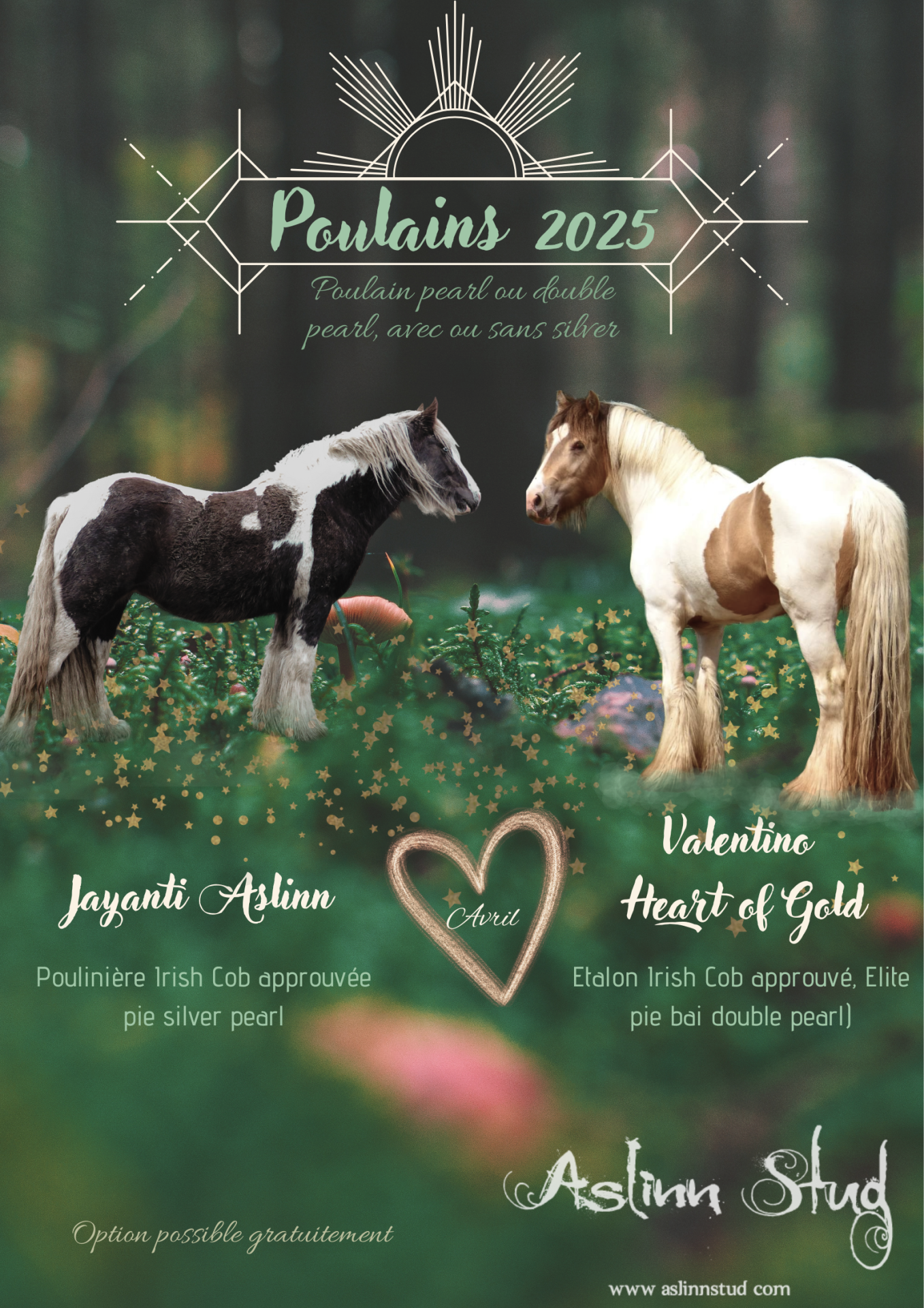 2025 jayanti aslinn 2