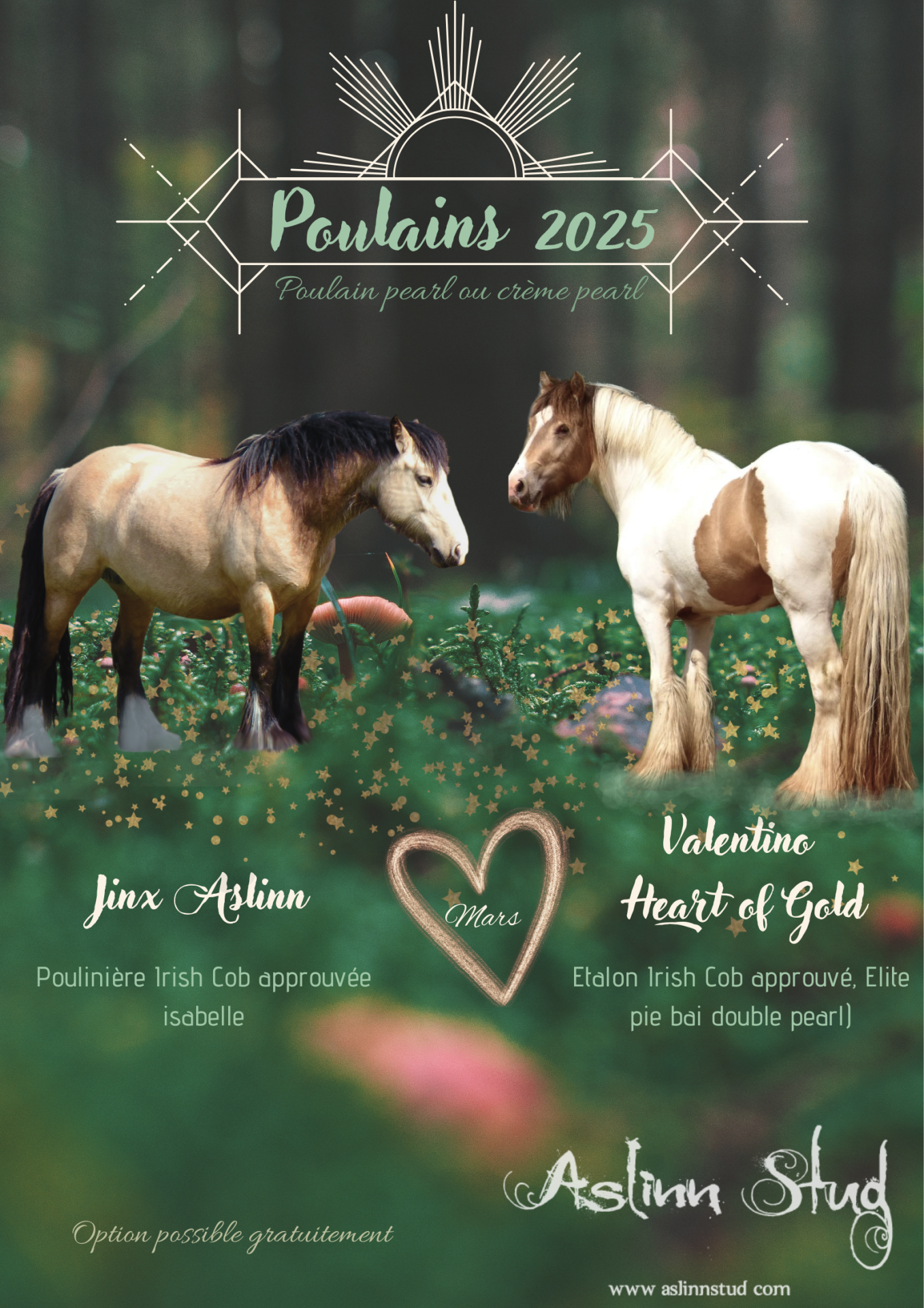 2025 jinx aslinn