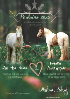 2025 lan anh aslinn