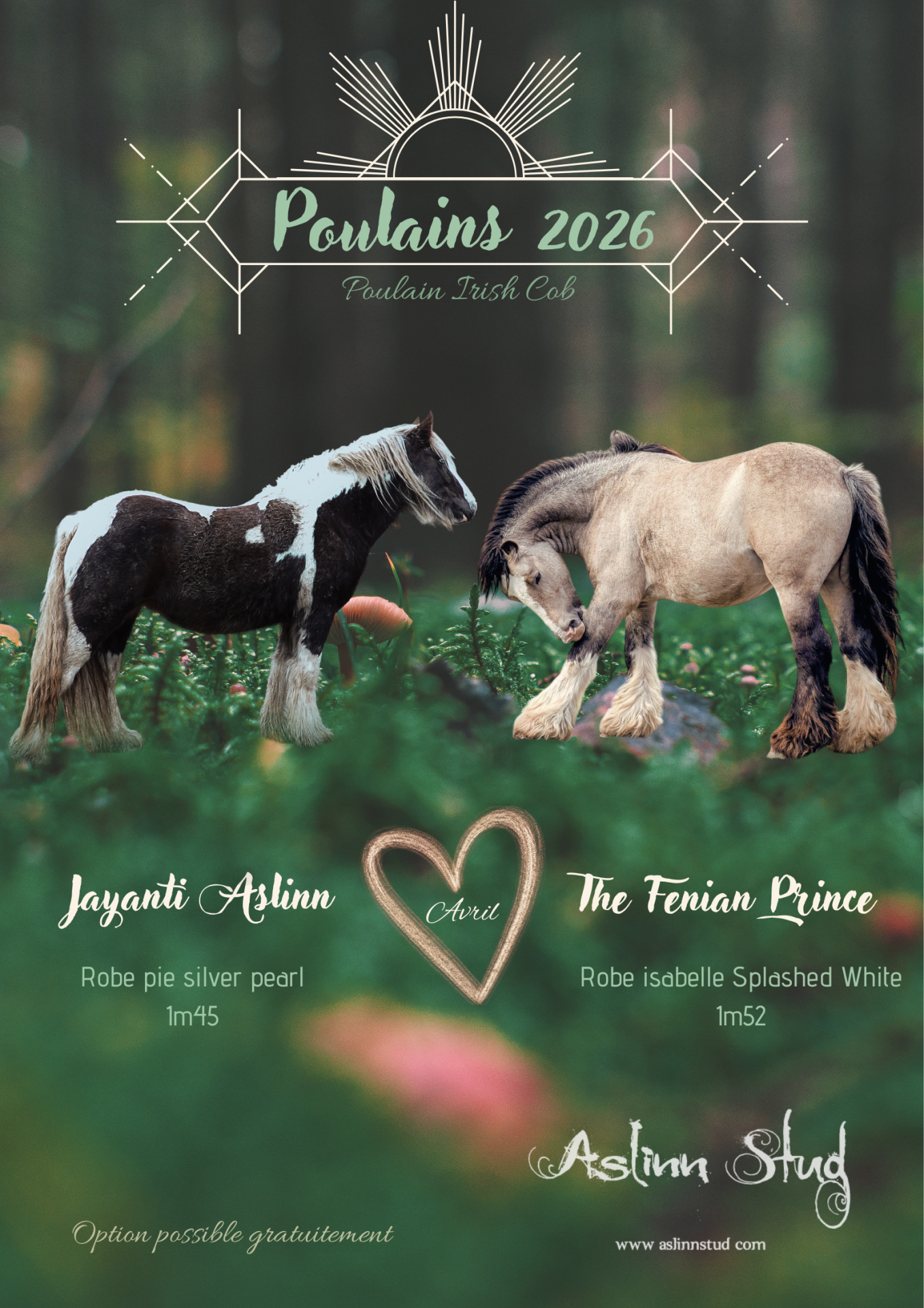 2026 jayanti aslinn