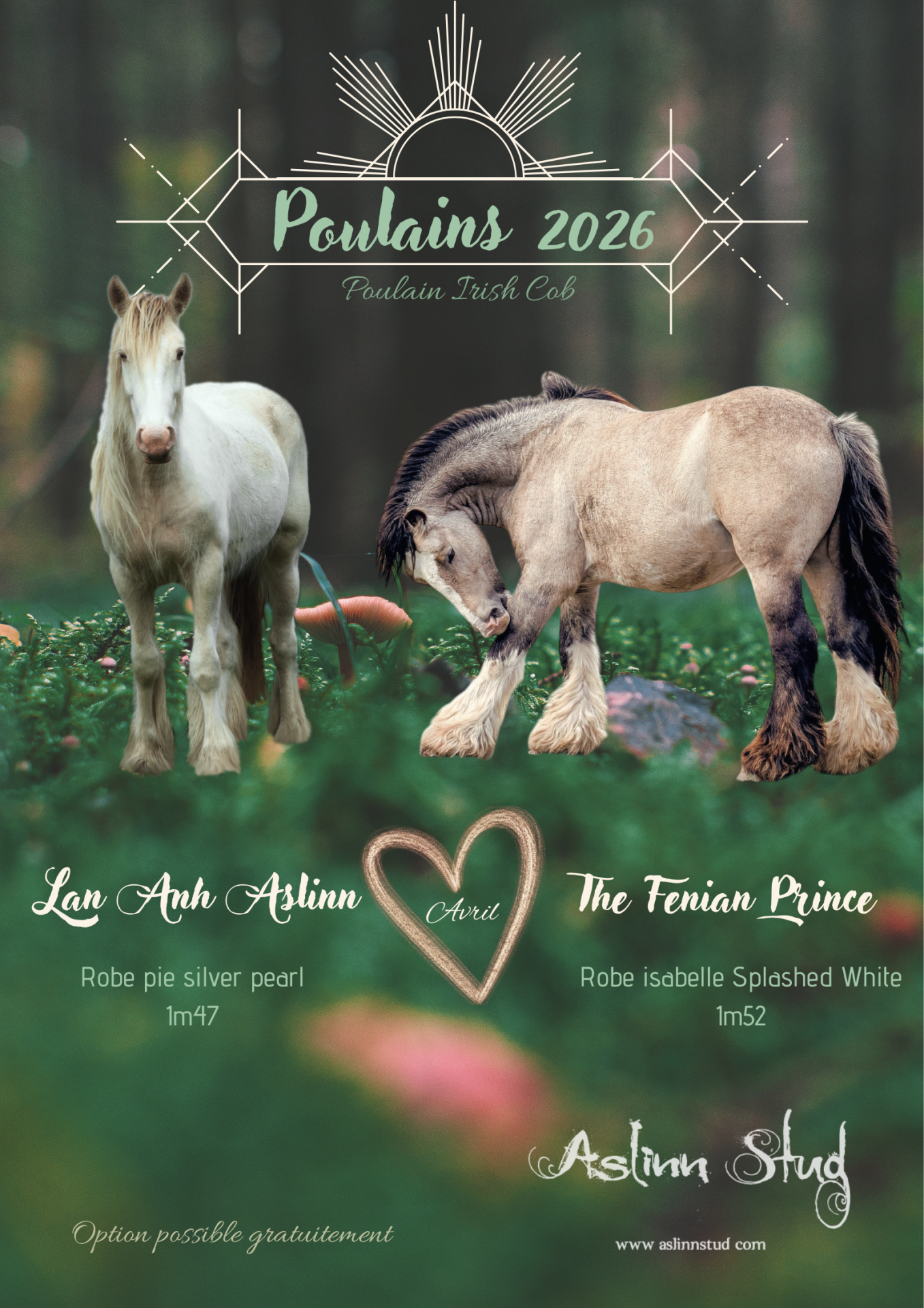 2026 lan anh aslinn